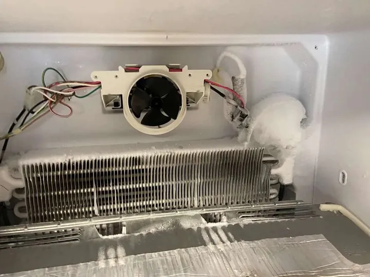 Fridge evaporator and fan covered in ice
