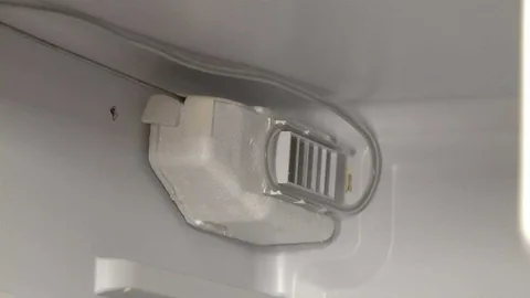 Close-up of the thermostat and light housing inside a fridge